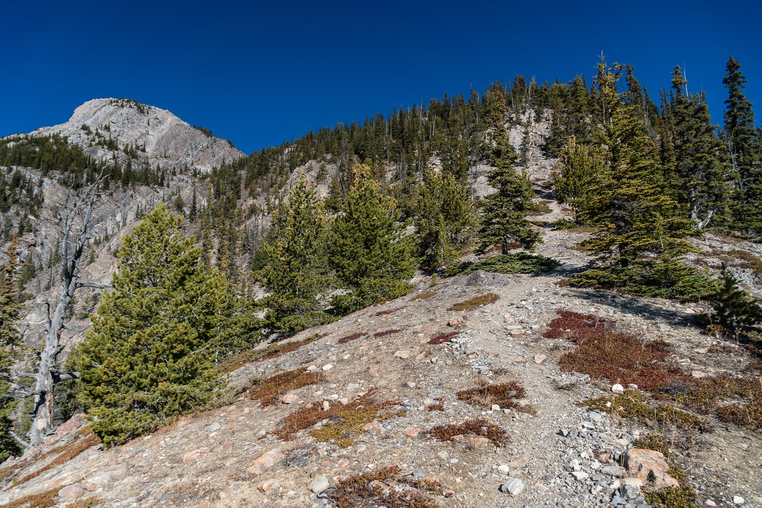 Hiking up the steep, hot south ridge of Mount Cory.